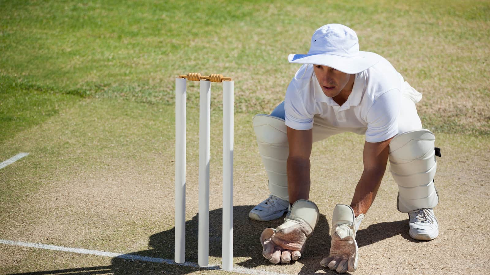 Watt's Strategy Provokes Discussion in T20I Against Australia